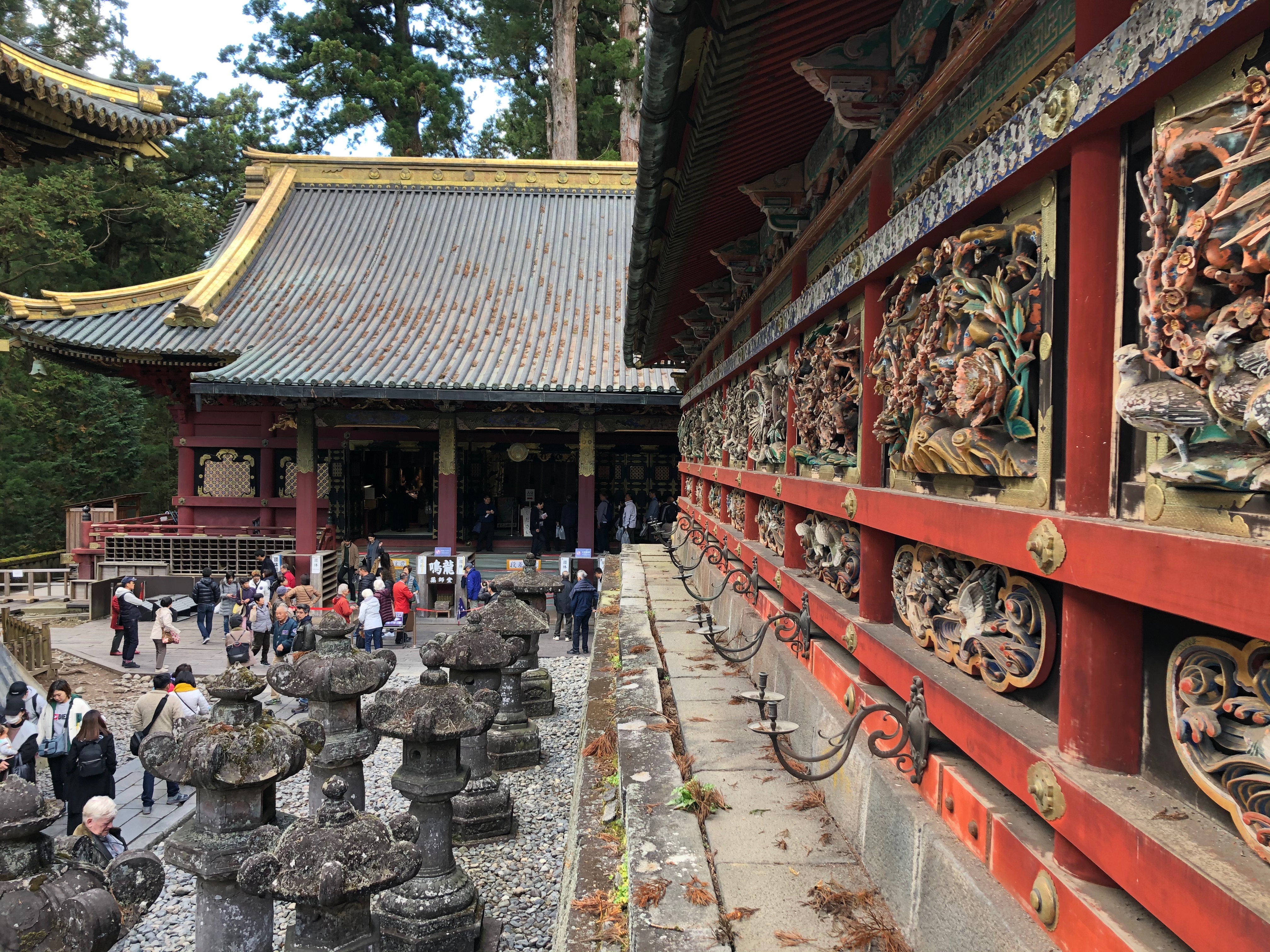 nikko
